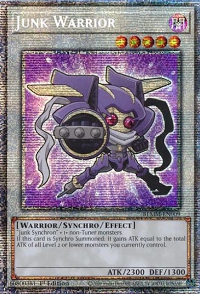 Junk Warrior