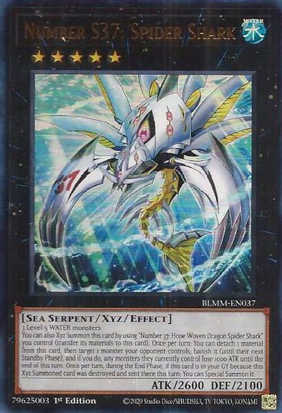Number S37: Spider Shark
