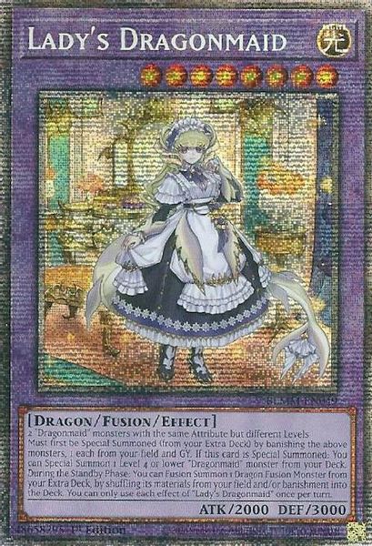 Lady's Dragonmaid