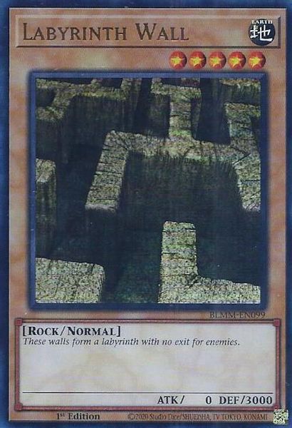 Labyrinth Wall