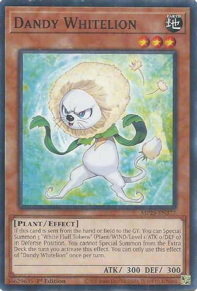 Dandy Whitelion