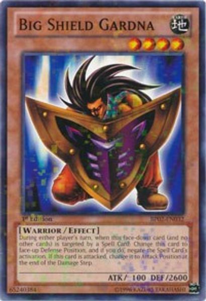 Big Shield Gardna