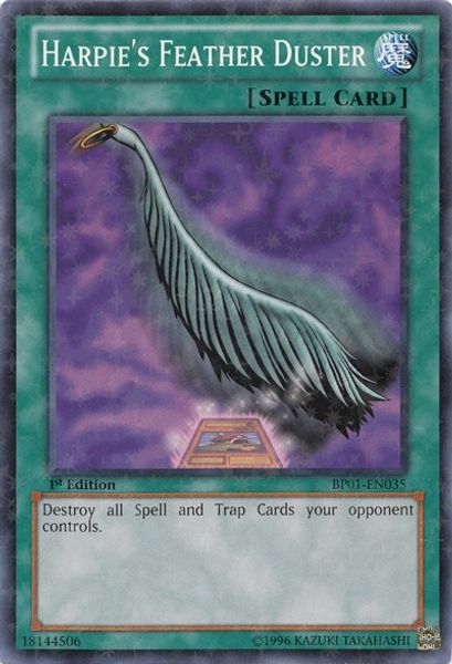 Harpie's Feather Duster
