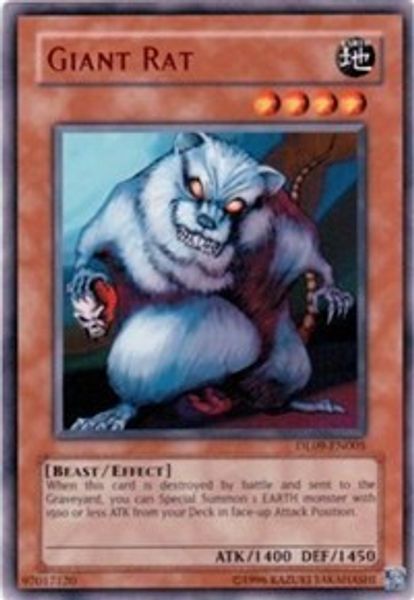 Giant Rat