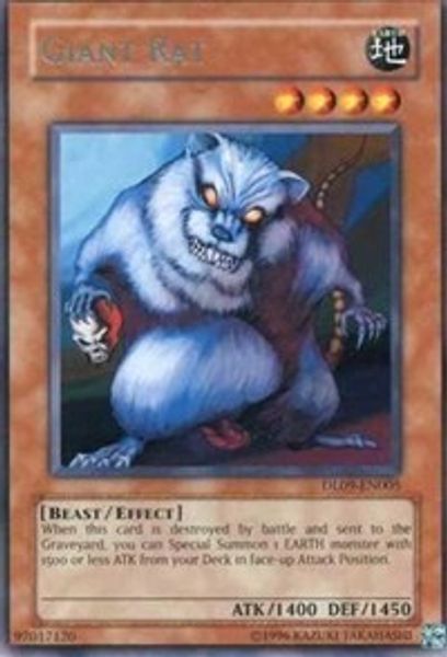 Giant Rat
