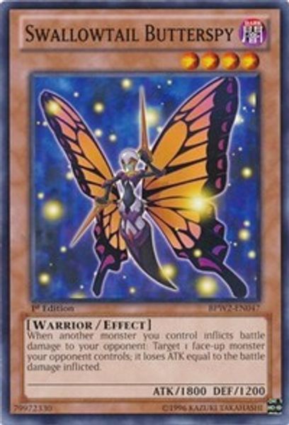 Swallowtail Butterspy