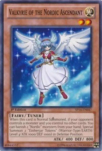 Valkyrie of the Nordic Ascendant