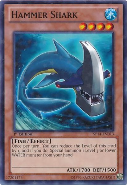 Hammer Shark