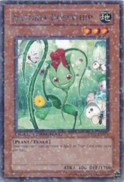 Naturia Rosewhip