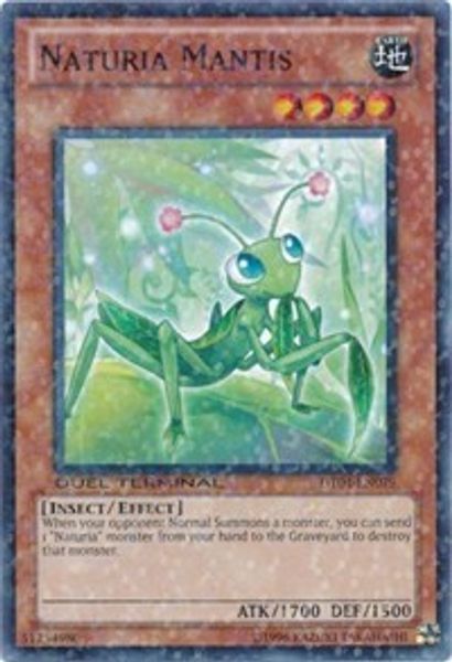 Naturia Mantis