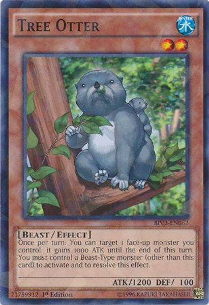 Tree Otter