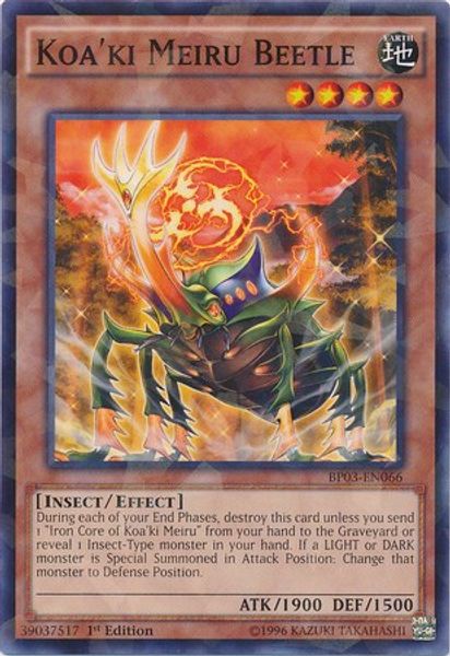 Koa'ki Meiru Beetle