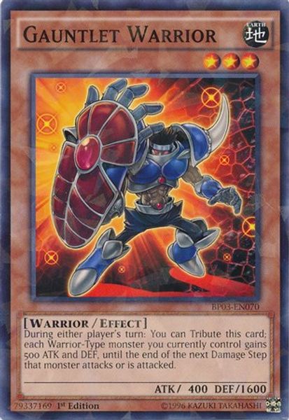 Gauntlet Warrior