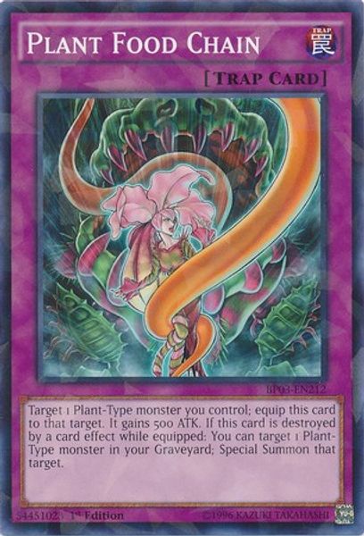Plant Food Chain
