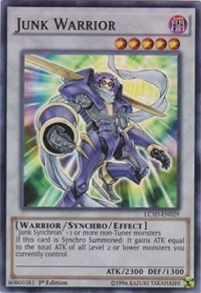 Junk Warrior