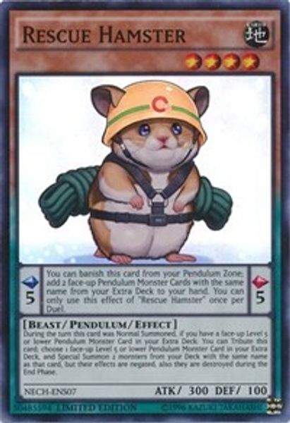 Rescue Hamster