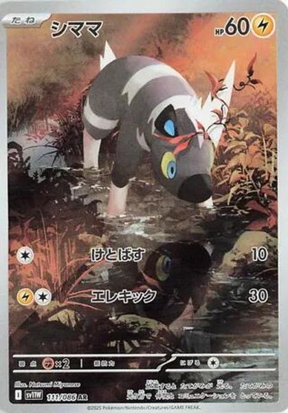 White flare 2box分 Ideal808 Inc. - Pokemon Japan - SV11W: White Flare