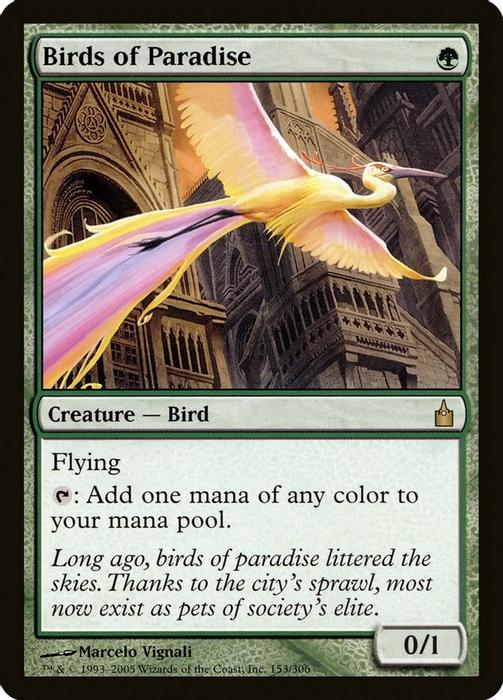 Birds of Paradise - Ravnica: City of Guilds - magic